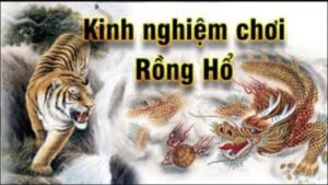 Các loại cầu kinh điển trong Chiến thuật Rồng Hổ Sunwin