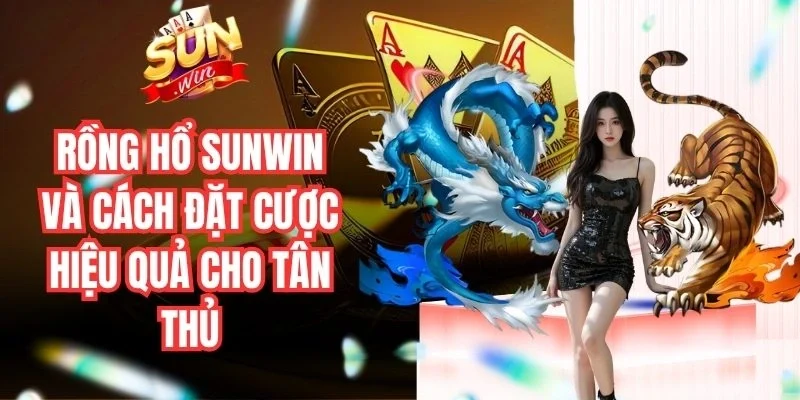 Rồng Hổ Cơ Bản Với Hướng Dẫn Dễ Hiểu Từng Bước Chi Tiết